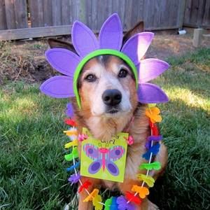 Meet your Posher, Brenda